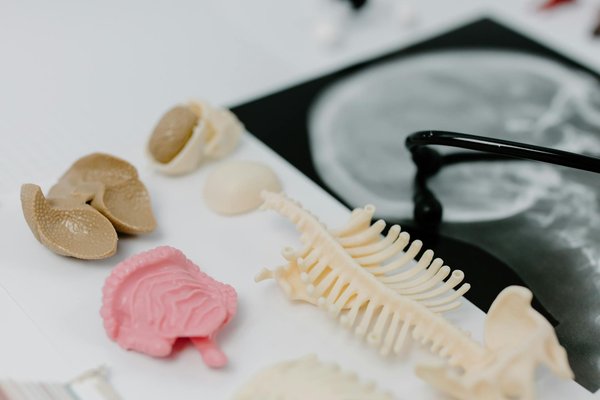 Découvrez les bienfaits du cbd pour la santé